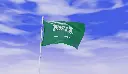 unsplash_2m3RjDrGtgk_saudi arabia flag.webp