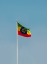 Amharic Translation Services