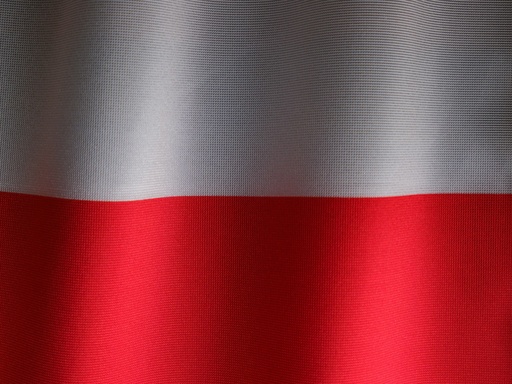 Polish Translation Services