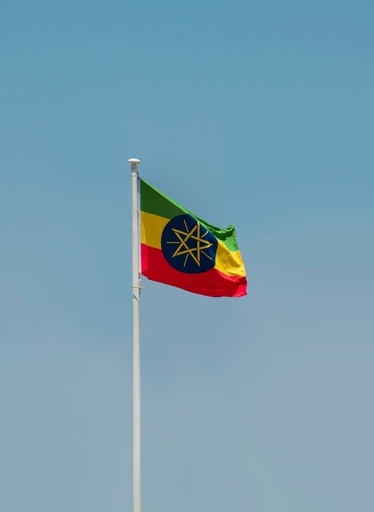Amharic Translation Services