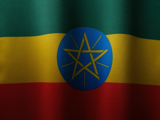 Amharic Translation Services