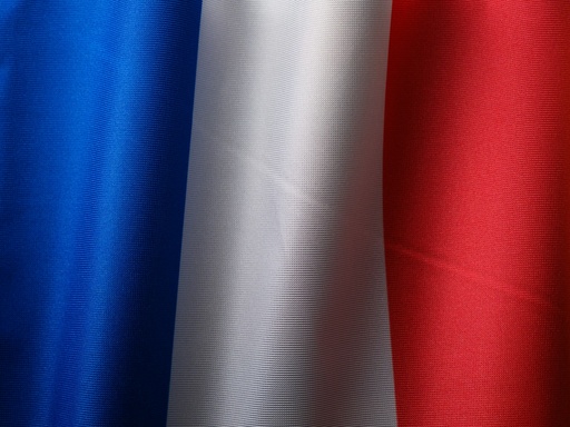 French Translation Services