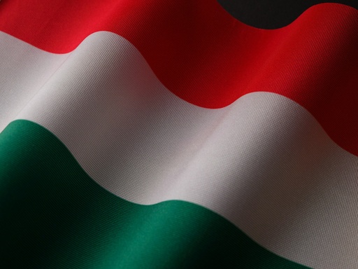 Hungarian Translation Services